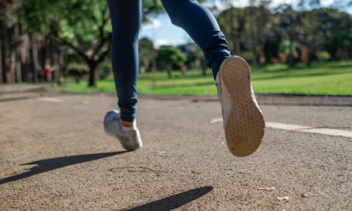 Palmers Solicitors gets its running shoes on for Essex Wildlife Trust