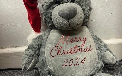 Palmers Solicitors runs bear-y special festive fundraiser for local children’s ward