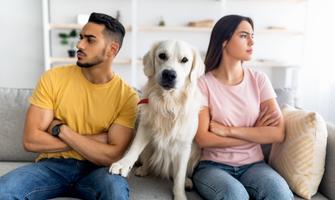 Who gets the dog in a divorce? The legal implications of pet ownership