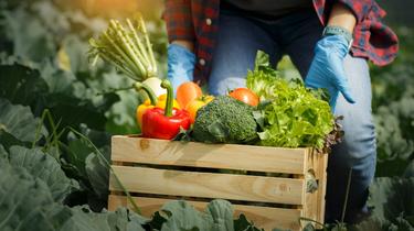 Palmers are inviting you to the Essex Young Farmers Show